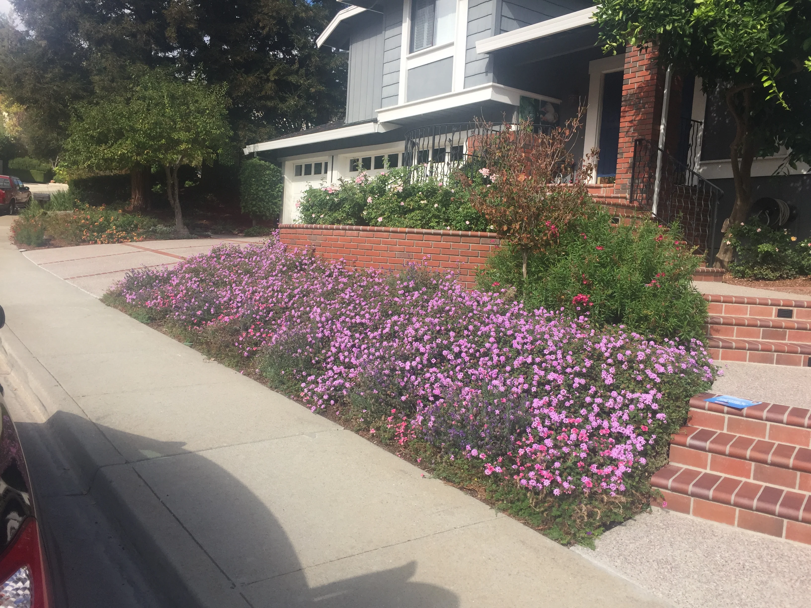 Residence Alamo 2