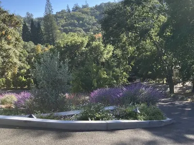 Jean Fogg Landscape driveway before and after project